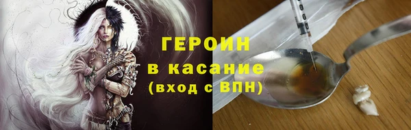 сатива Зеленокумск