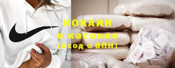 сатива Зеленокумск