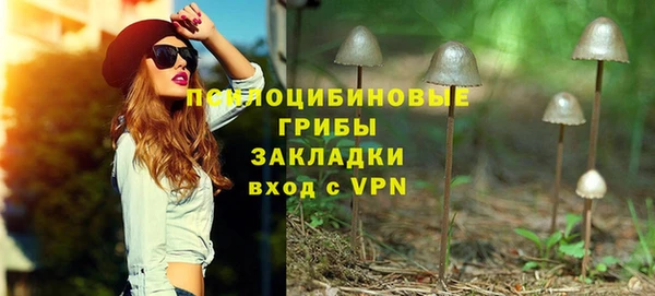 сатива Зеленокумск