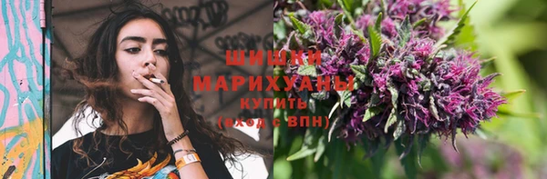 сатива Зеленокумск