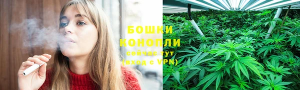 сатива Зеленокумск