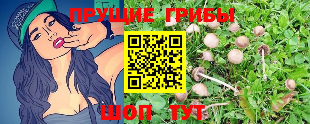 Галлюциногенные грибы Cubensis  Вход с VPN  Радужный 