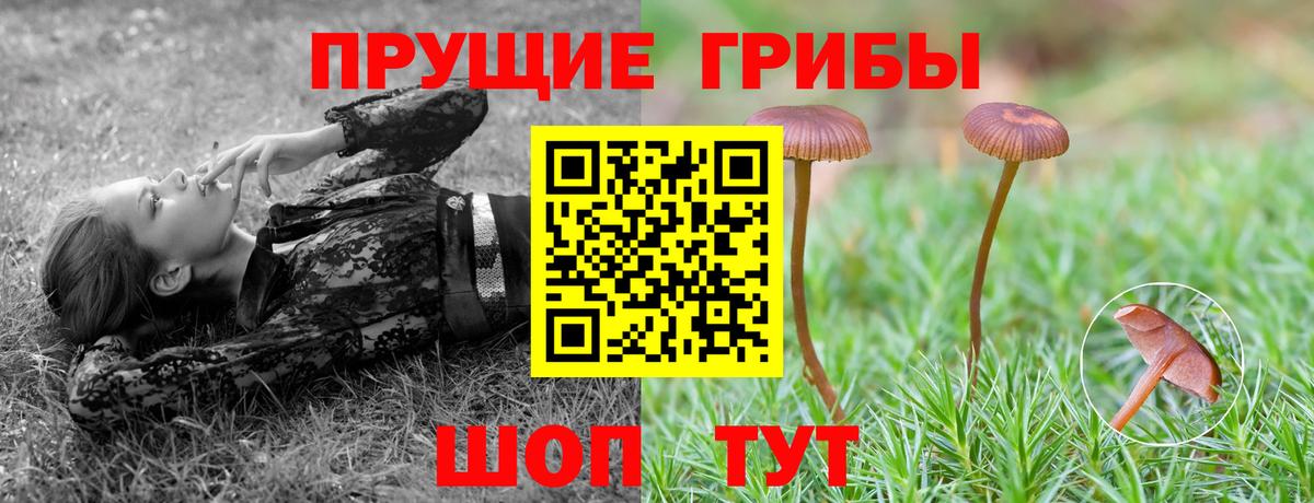 Псилоцибиновые грибы MAGIC MUSHROOMS Радужный